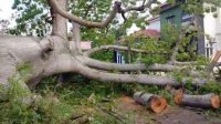 IMG-20250106-WA0131