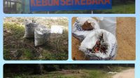IMG-20250214-WA0147