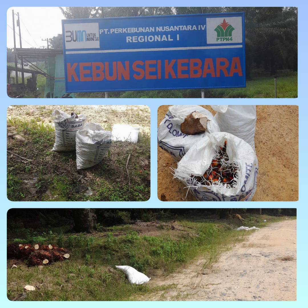 IMG-20250214-WA0147