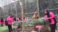 IMG-20250224-WA0054