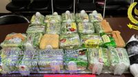 IMG-20250227-WA0097