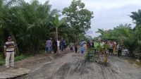 IMG-20250322-WA0085