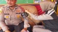 IMG-20250327-WA0025
