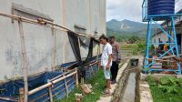 IMG-20250519-WA0028(1)