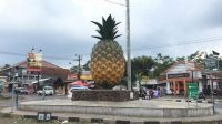 IMG-20250528-WA0025