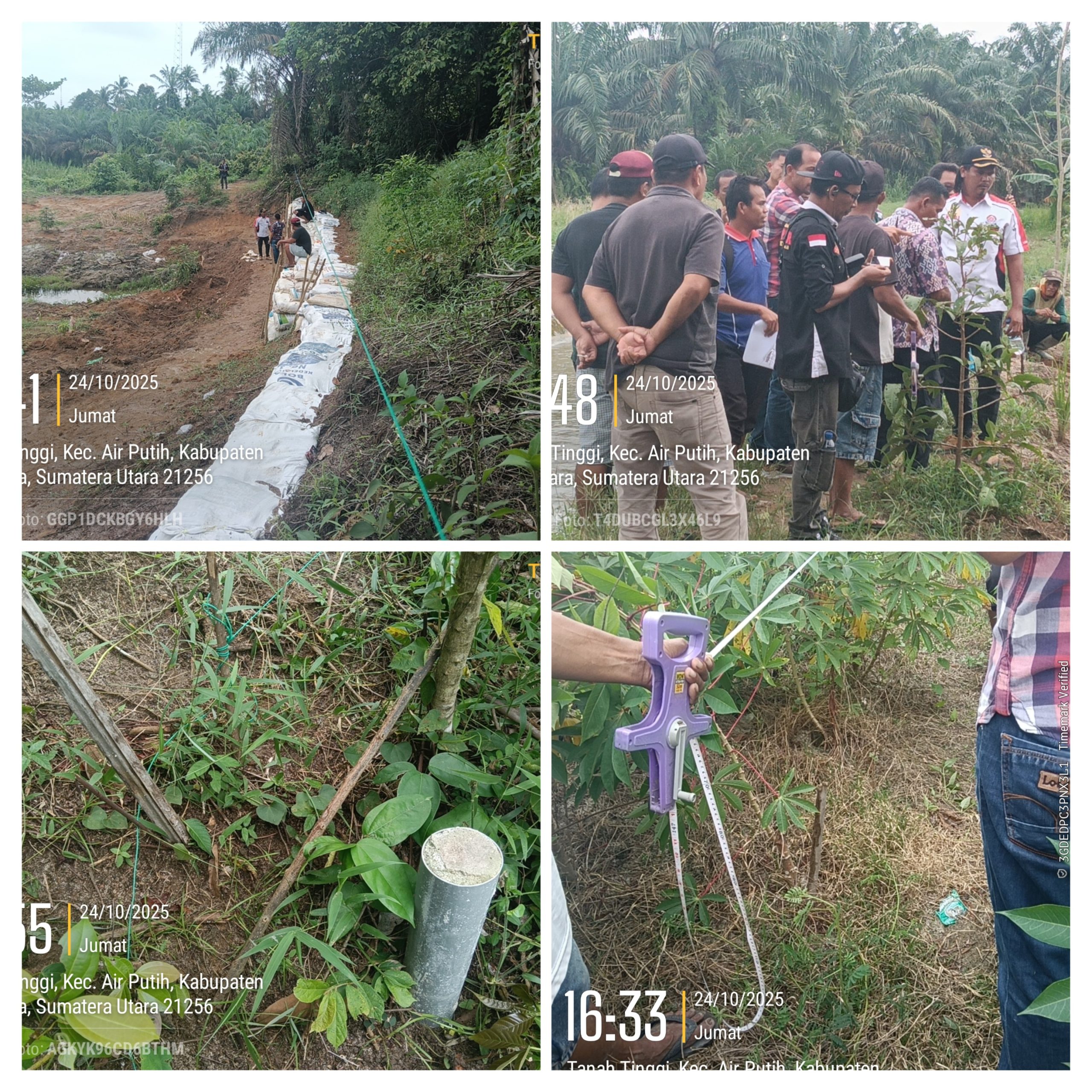 20251025_111757-COLLAGE