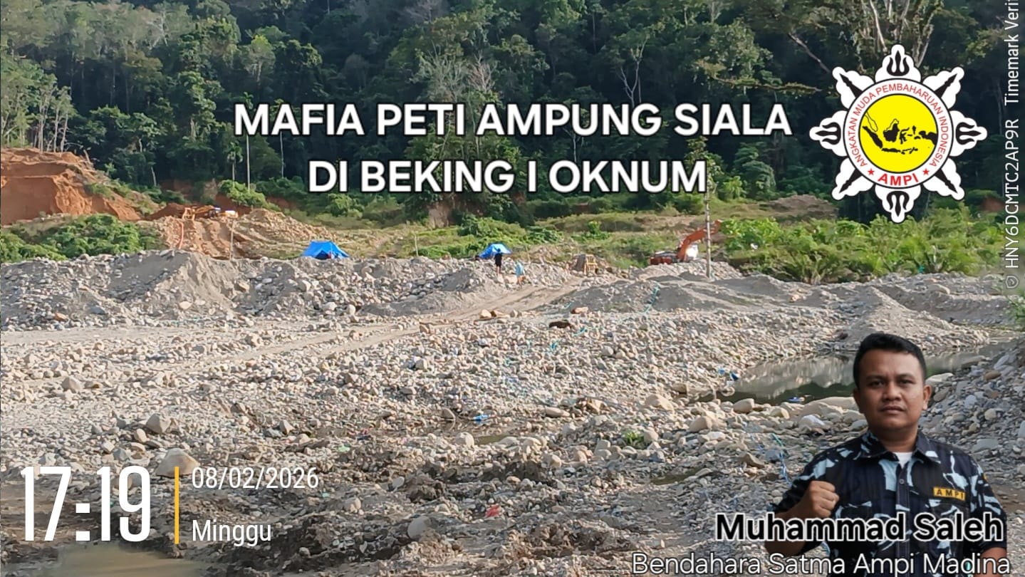IMG-20260217-WA0176