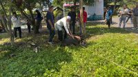 IMG-20260529-WA0007