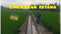 WhatsApp Image 2026-07-27 at 00.51.43