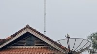 IMG-20260807-WA0035