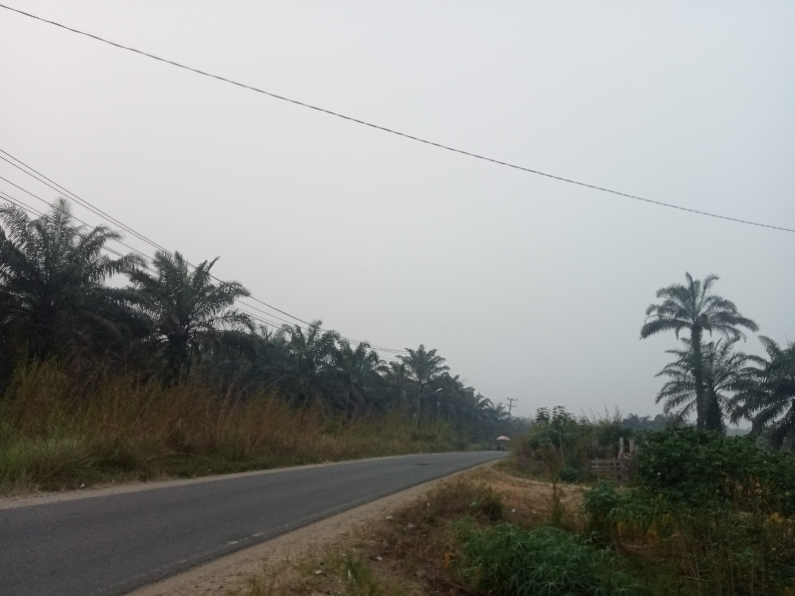 oppo_0