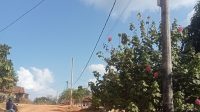 Oplus_0