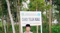 Oplus_131072