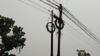 IMG_20261023_130716_426